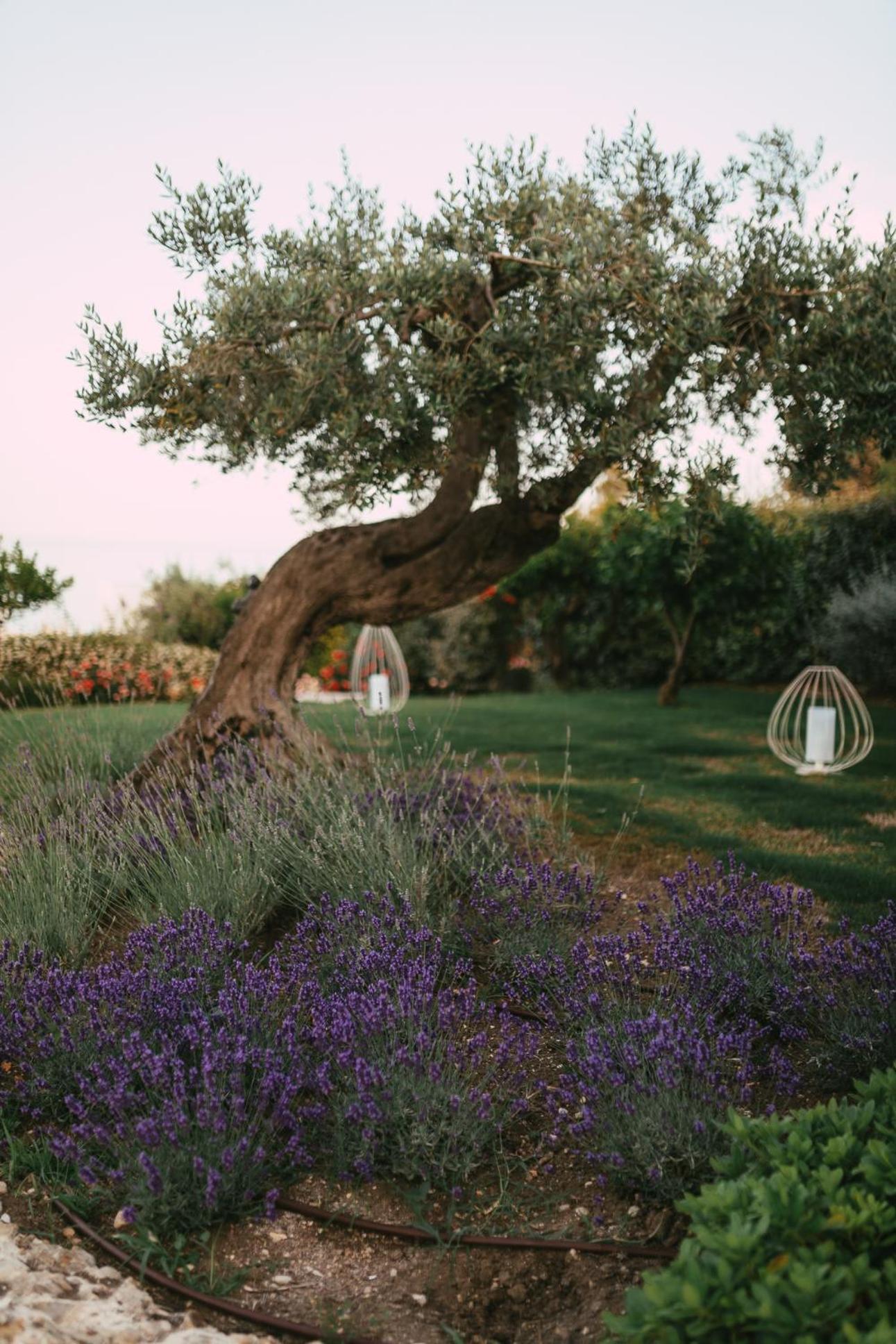 Baia Delphis Resort Vasto Bagian luar foto
