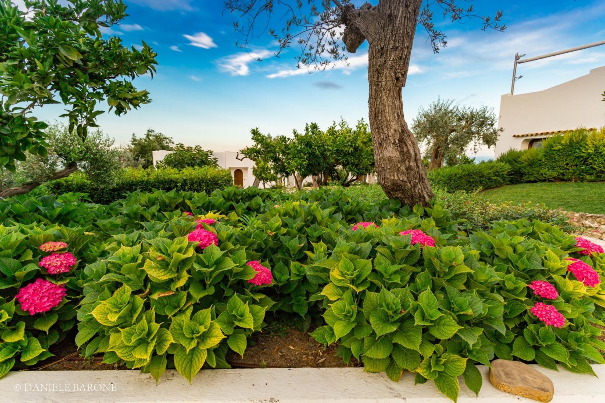 Baia Delphis Resort Vasto Bagian luar foto